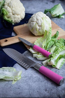 F Dick Pink Spirit 8” Santoku Knife