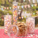 Clear PC Display Container 250 x 150mm 5.31L Including Lid