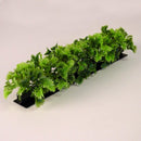 Luxury Parsley Garnish Black Base 250mm (Pack of 12)