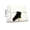 Plastic Cheese Cutter